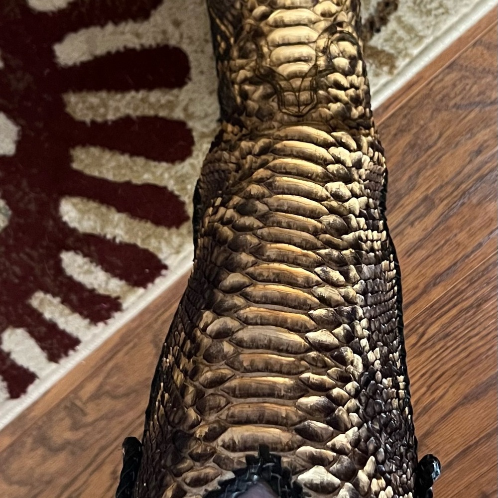 Old Gringo python Boots - Picture 3 of 10